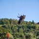 F Int Parapente 2024 (76)