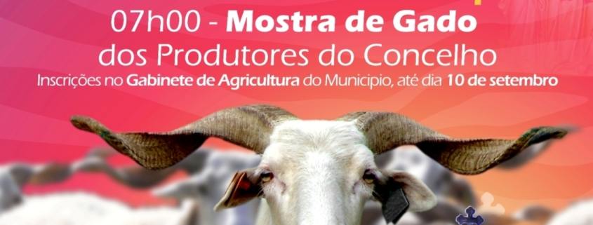 Sta Eufemia 2024 Mostra De Gado (1)