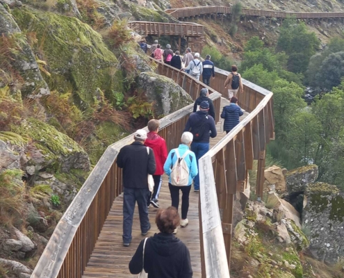 Ativar Mais Mente (7)