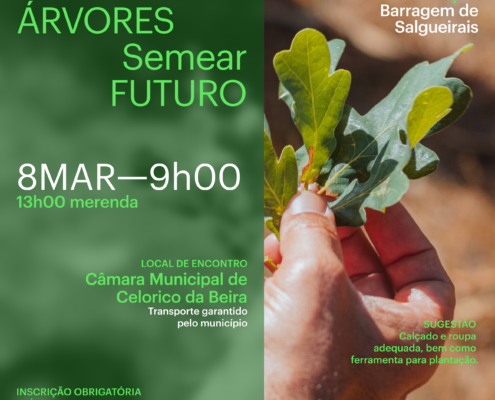 Plantar Árvores Semear Futuro