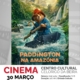 Paddington