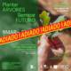 Plantar Arvores Semear Adiado