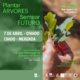 Plantar Arvores 02
