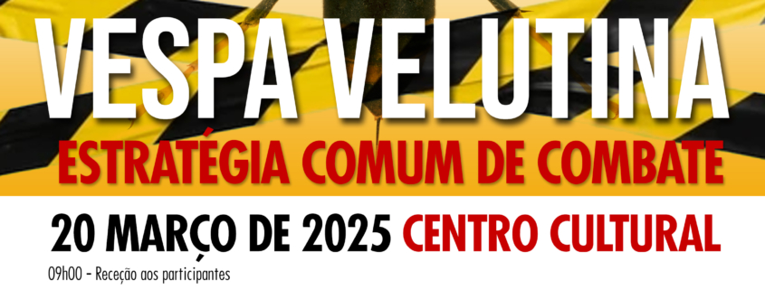 Vespa Velutina