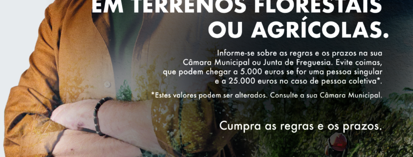 Prevenção Florestal
