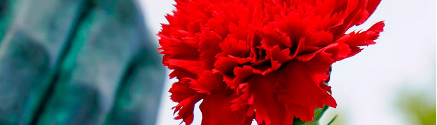 Banner 01