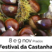 Festival Da Castanha