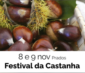 Festival Da Castanha