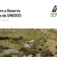 Serra Da Estrela