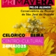 Concerto Primavera