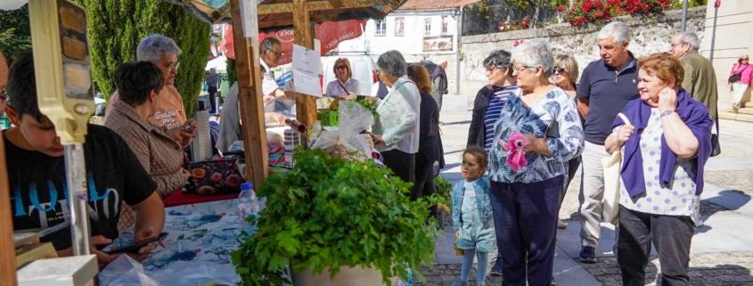 Ecomarket (2)