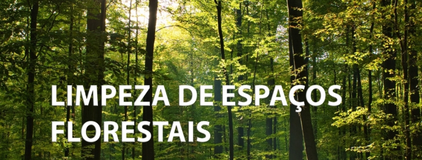 Floresta Ativa