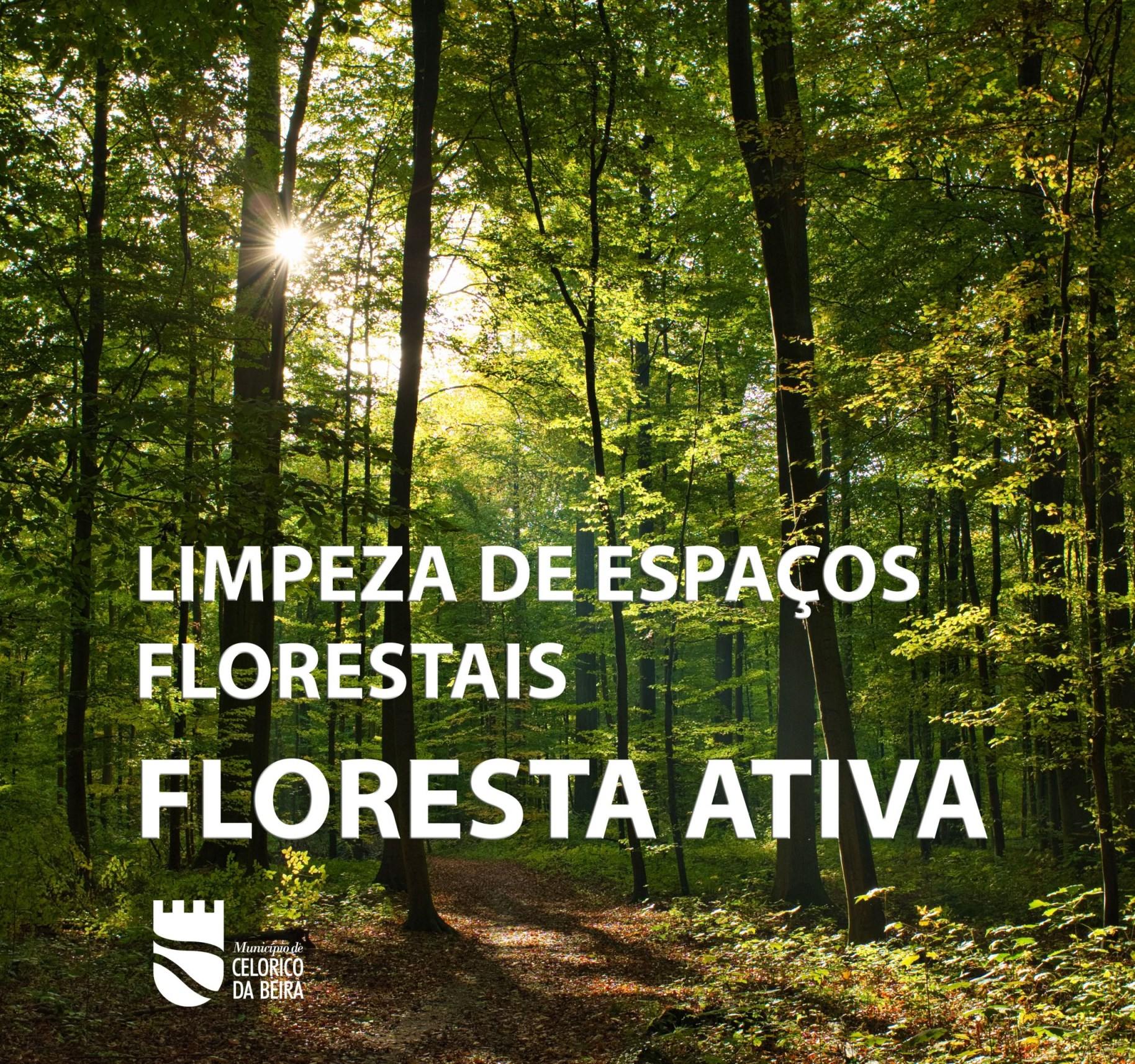Floresta Ativa