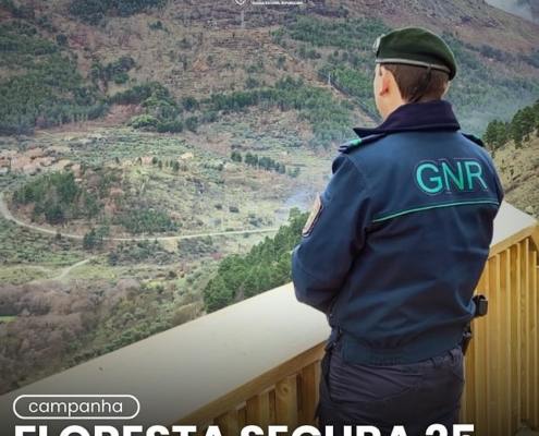 Floresta Segura 2025