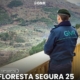 Floresta Segura 2025