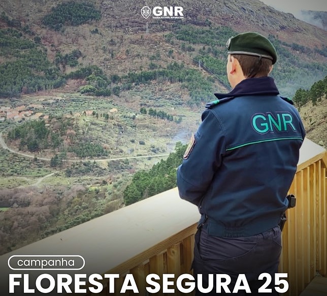 Floresta Segura 2025