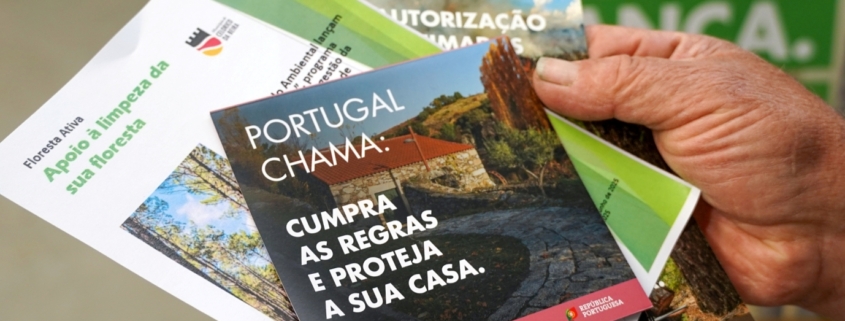 Floresta Segura (9)