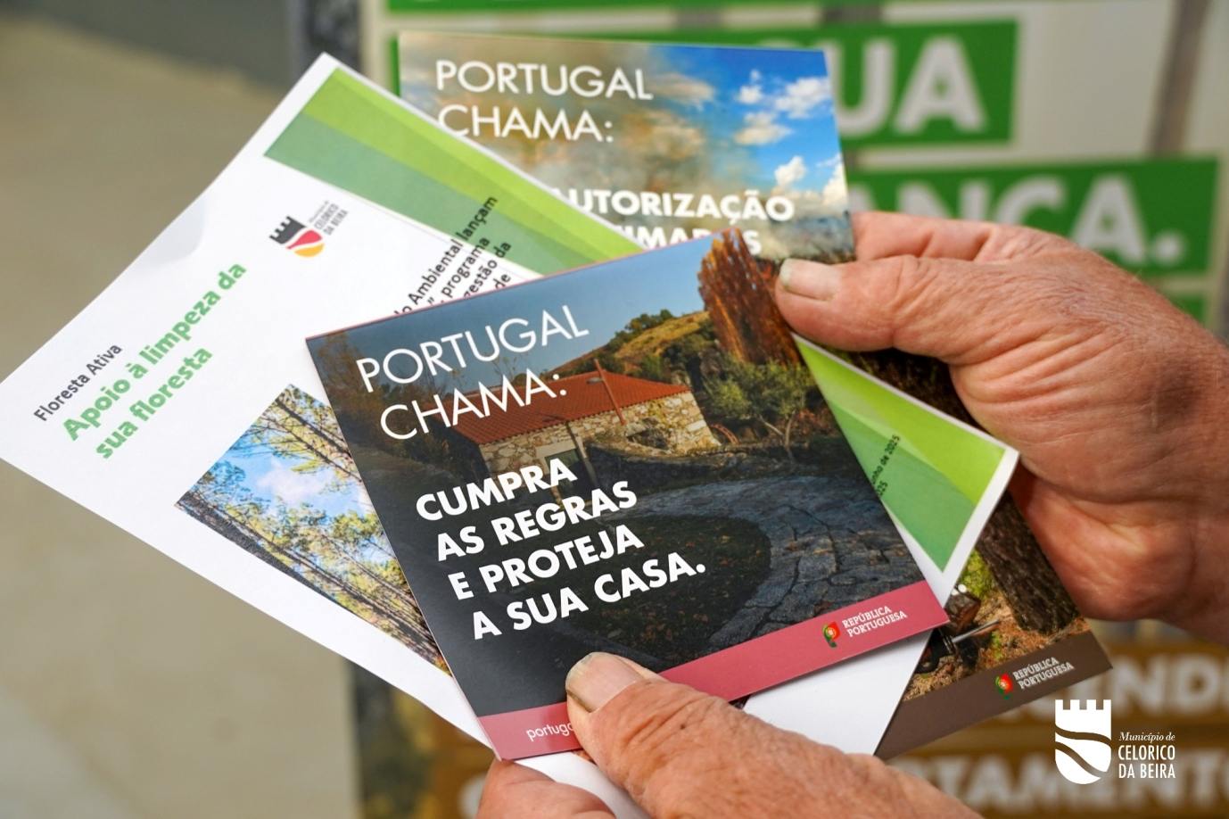 Floresta Segura (9)