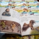 Lenda A Lenda (5)