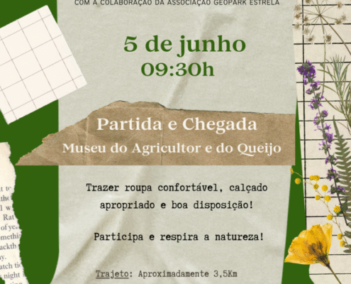 Trilhos Aromáticos 2025