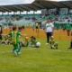Traquinas 2025 (7)
