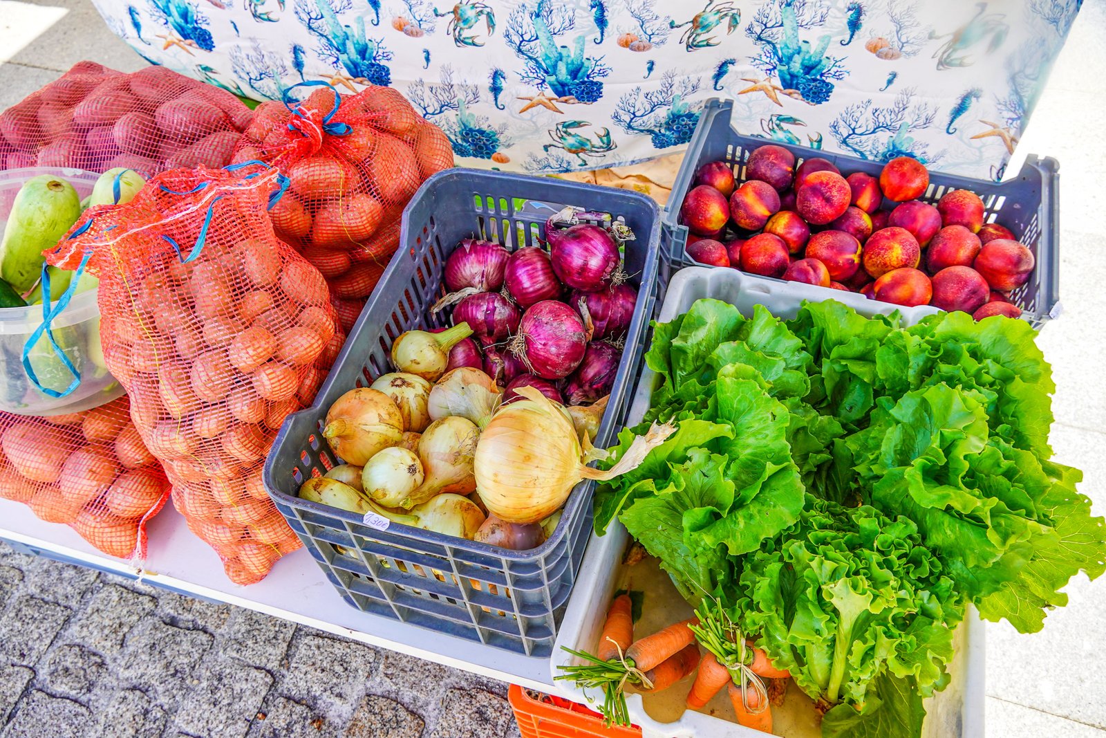 Ecomarket (14)