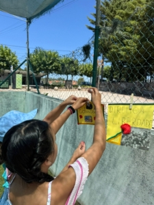 Férias Desportivas (31)