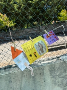 Férias Desportivas (36)