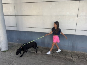 Férias Desportivas (72)