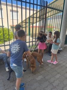 Férias Desportivas (73)