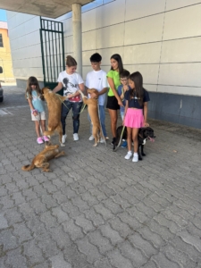 Férias Desportivas (74)