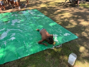 Férias Desportivas (79)