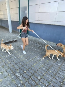 Férias Desportivas (13)