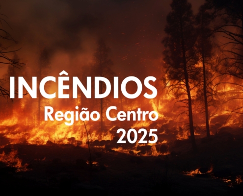Incendio 2025
