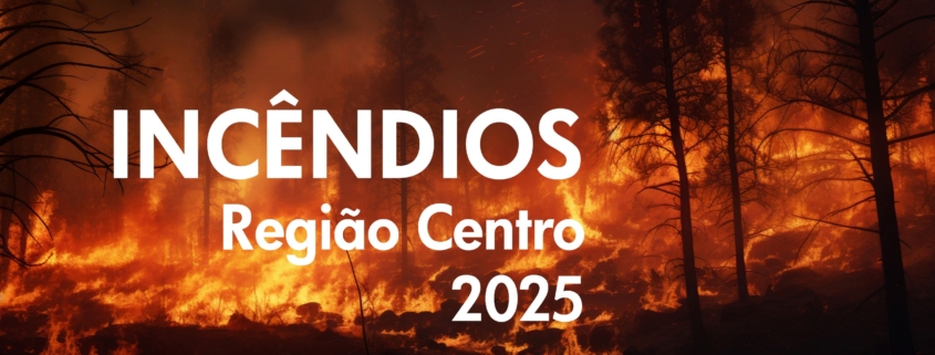 Incendio 2025