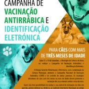 Vacinação E Identificação 2025
