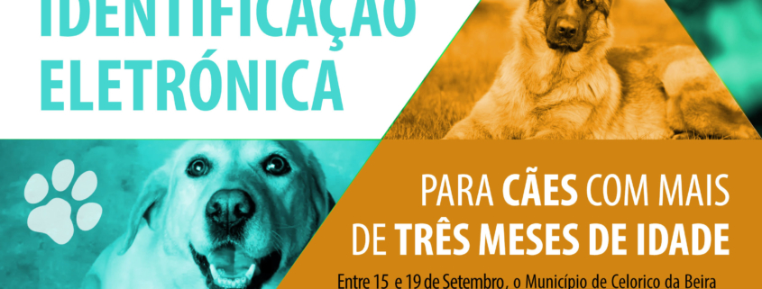 Vacinação E Identificação 2025