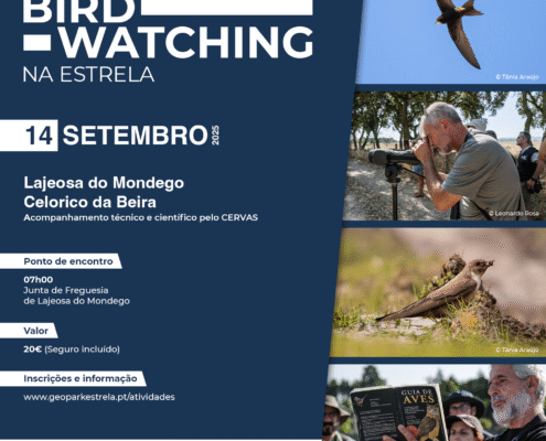 14.09.2025 Birdwatching Celorico Da Beira(1)