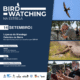 14.09.2025 Birdwatching Celorico Da Beira(1)