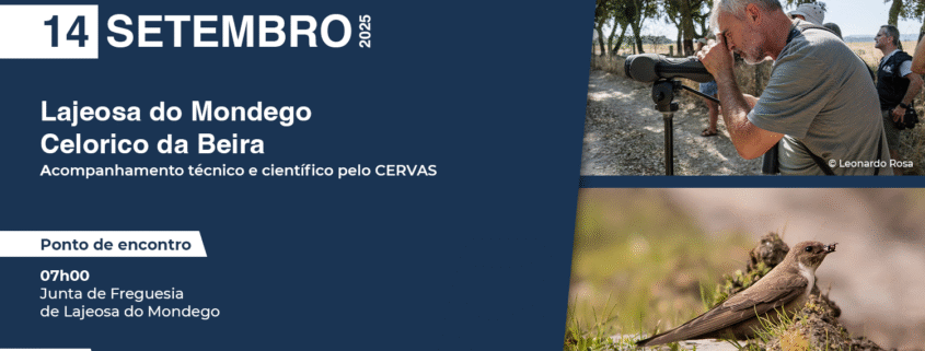 14.09.2025 Birdwatching Celorico Da Beira(1)