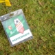 Ii Torneio (3)