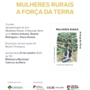 Cartaz Convite Apresentacao De Livro