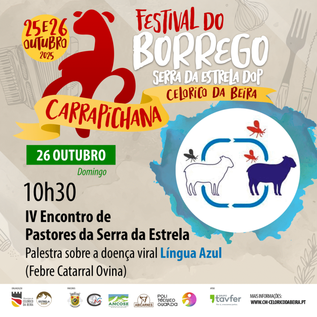 IV Econtro De Pastores