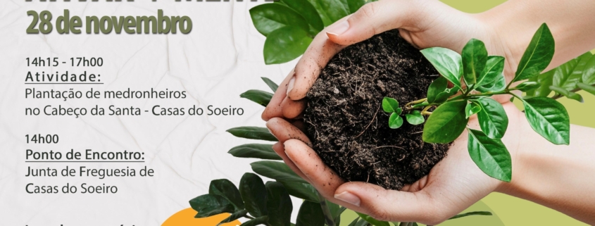 Dia Da Floresta Autoctone
