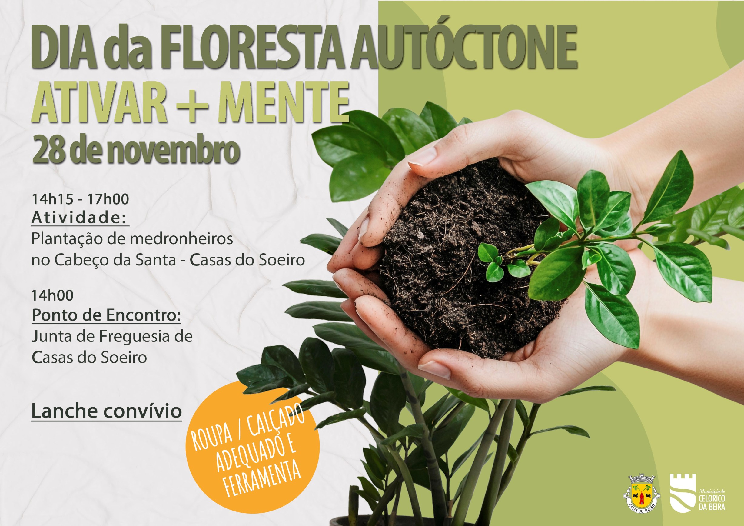 Dia Da Floresta Autoctone
