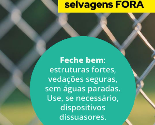 Prevençao Aves