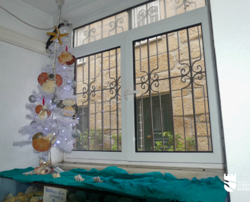 Celmar Celorico Da Beira