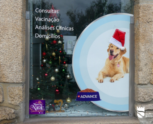 Clinica Vet Celorico Da Beira