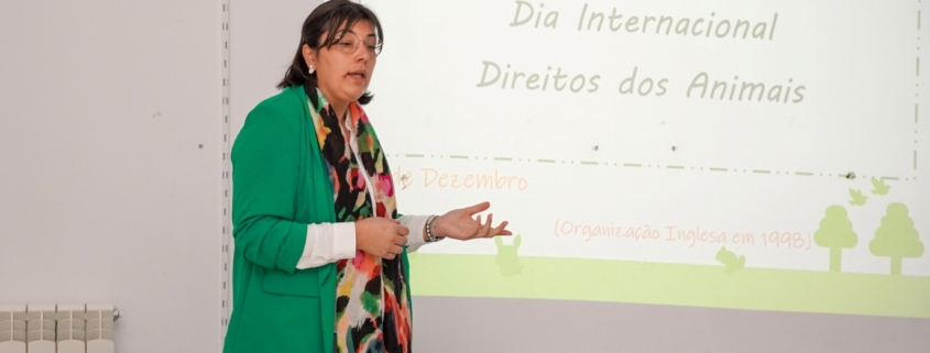 Direitos Animais (6)