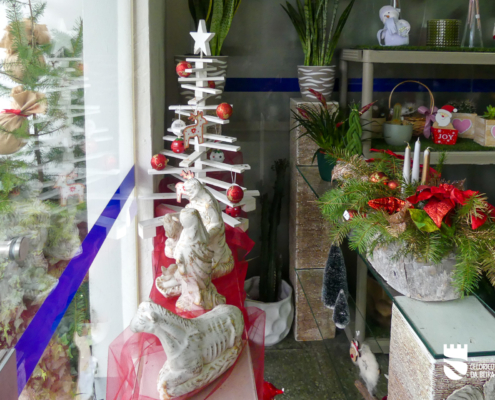 Florista Susana Soares Celorico Da Beira